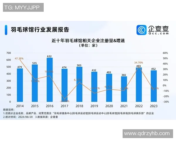 西安羽毛球队技术表现数据分析与提升策略探讨