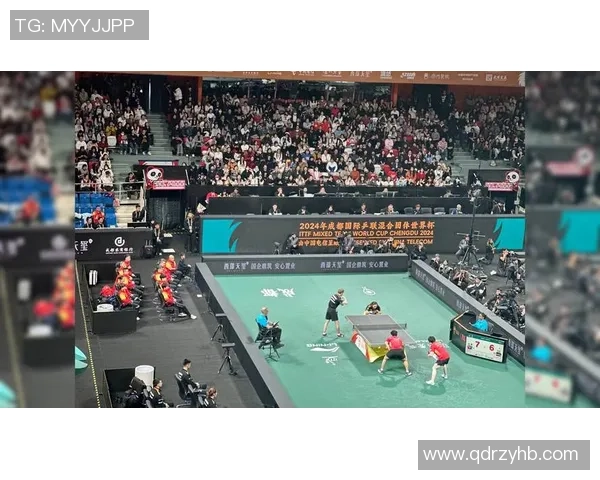 成都乒乓球队荣登全国比赛经验排行榜第三名展现实力与潜力